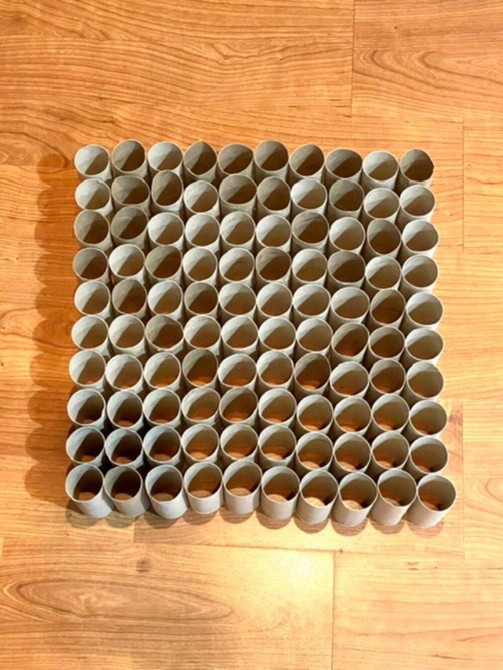 100 Toilet Paper Empty Rolls Cardboard Tubes Craft Art Project School Kid